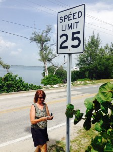 Claudia returning log to the cache.