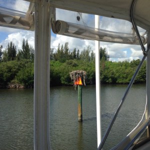 Osprey nest cover up the navigational aids. What marker was that?