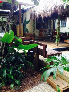 Can you see the ammo can that is the cache?