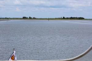 Narrow and shallow Jekyl Creek