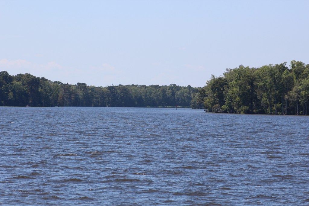Entering Roanoke River