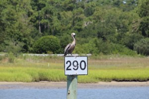Entering Mason Boro Sound