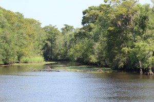 Some narrow passages