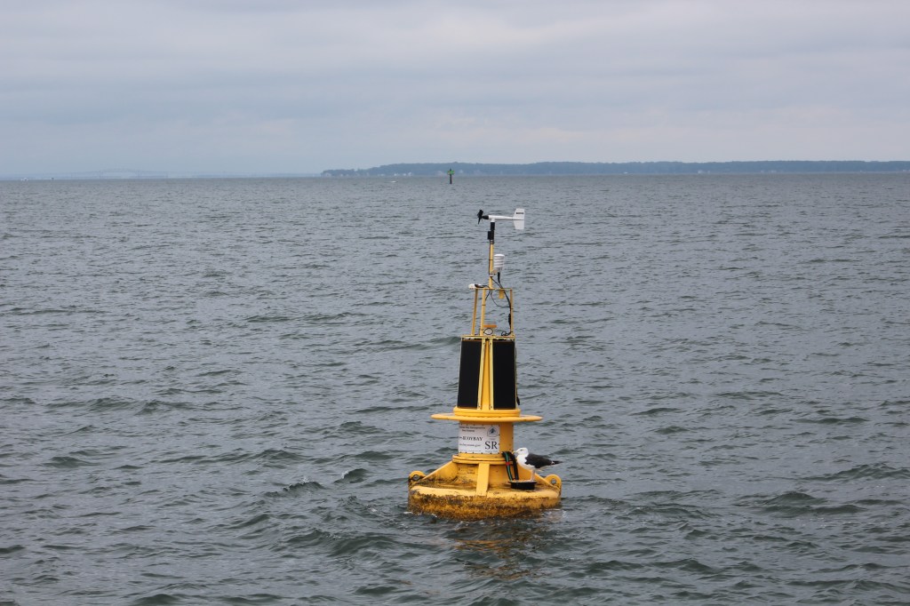 Stingray Point buoy