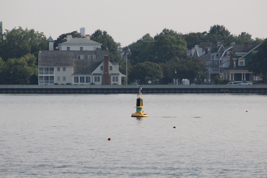 Norfolk Buoy