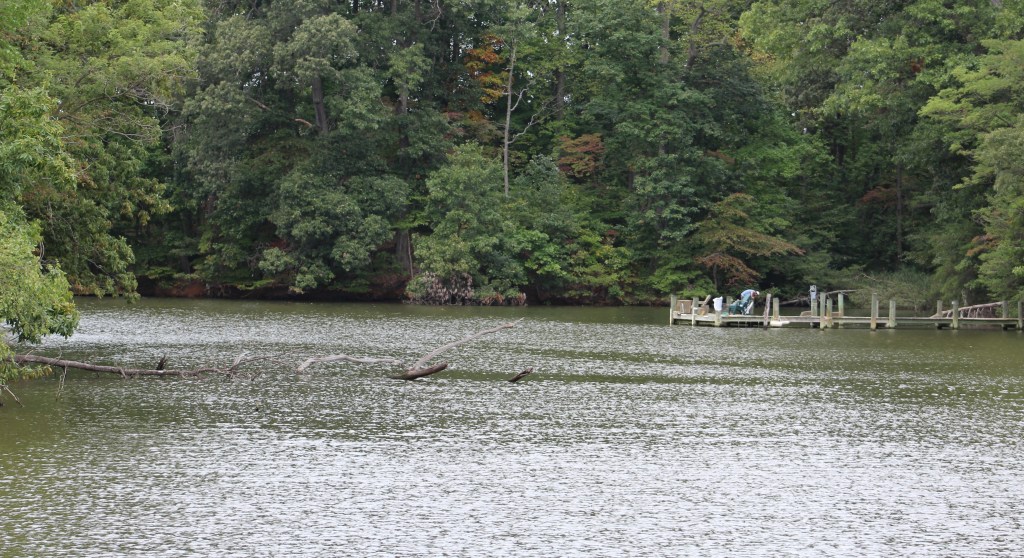 Anchor location in Ridout Creek