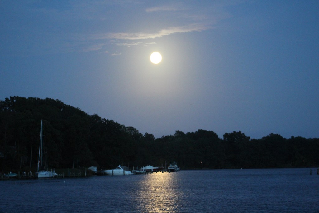 Moon rise in Ridout Creek