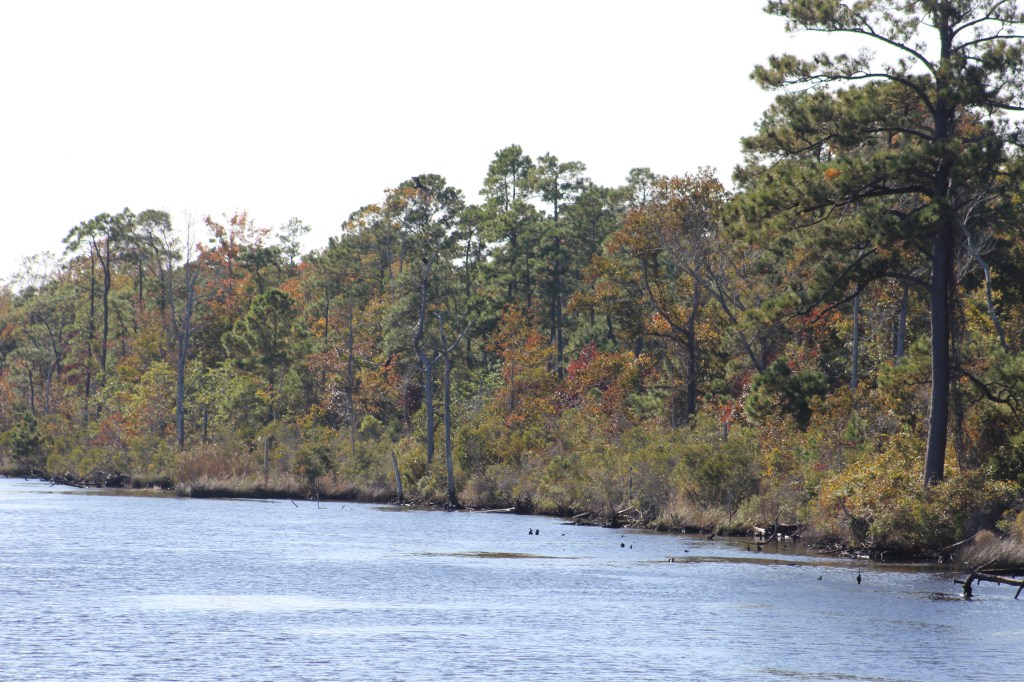 Mile 110 - Alligator River-Pungo River Canaal