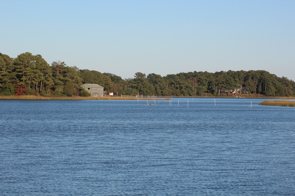 View from Kings Creek