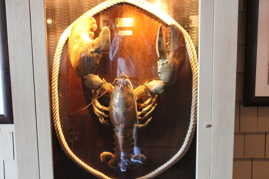 34 lbs lobster at the Lobster House