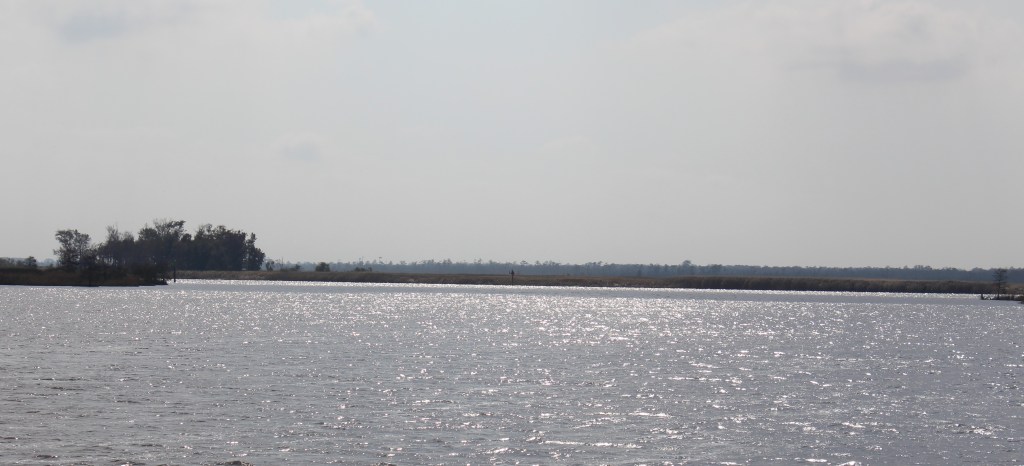 Mile 10 - Southern Branch of Elizabeth River