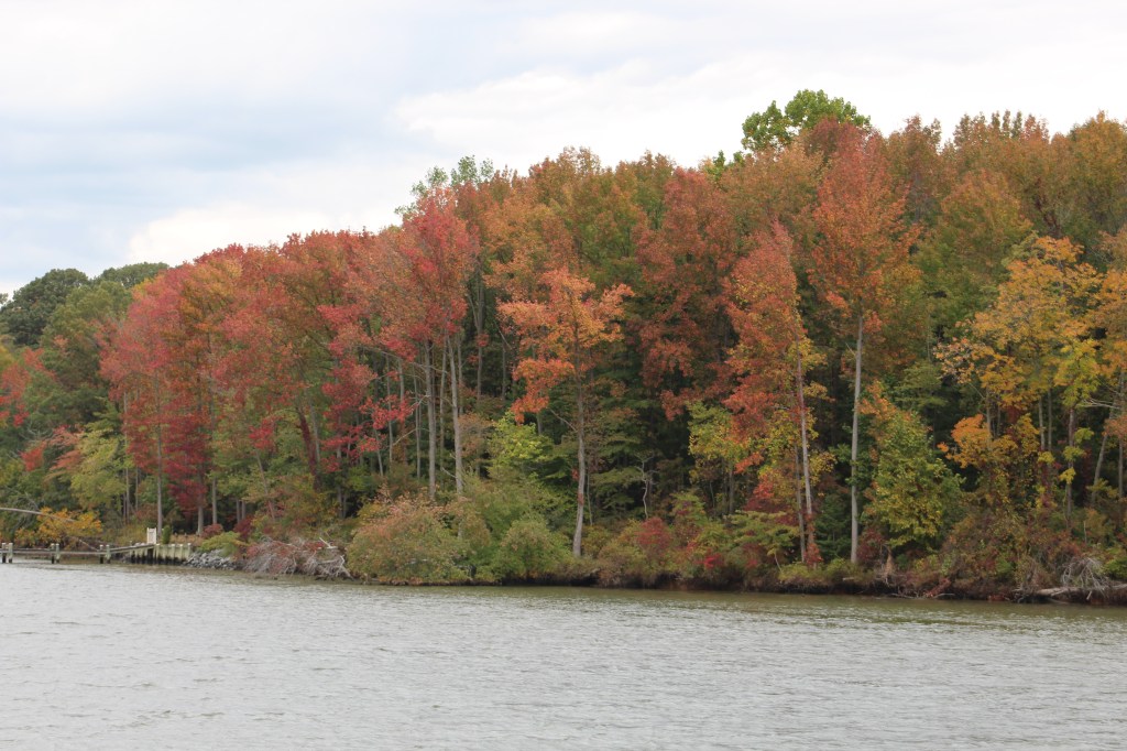 Along the banks of C&D Canal