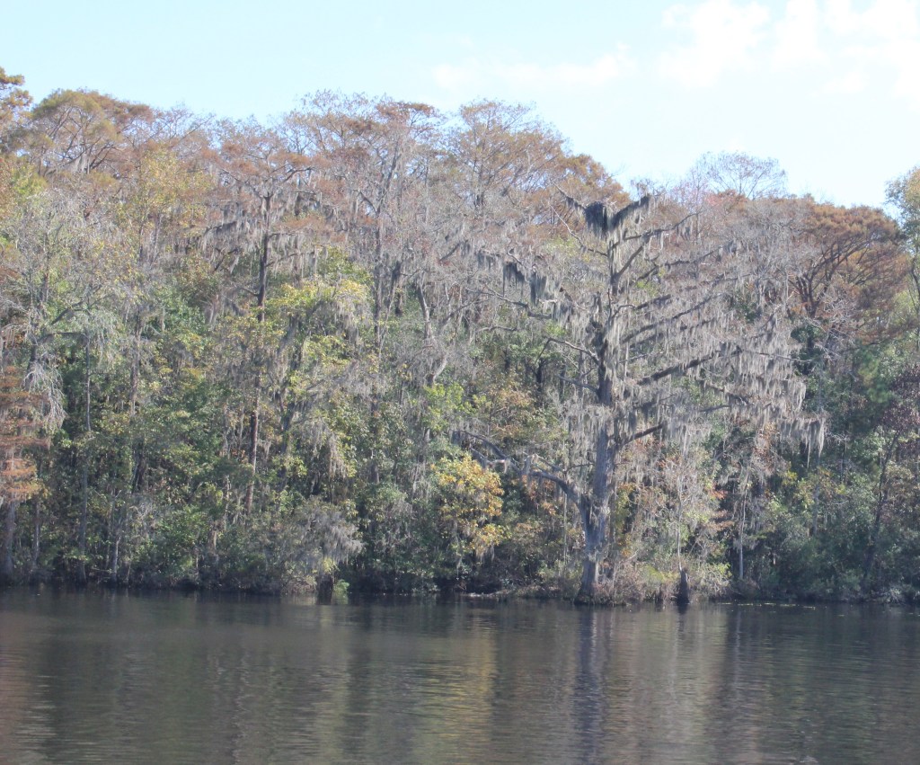STM 390, Waccamaw River