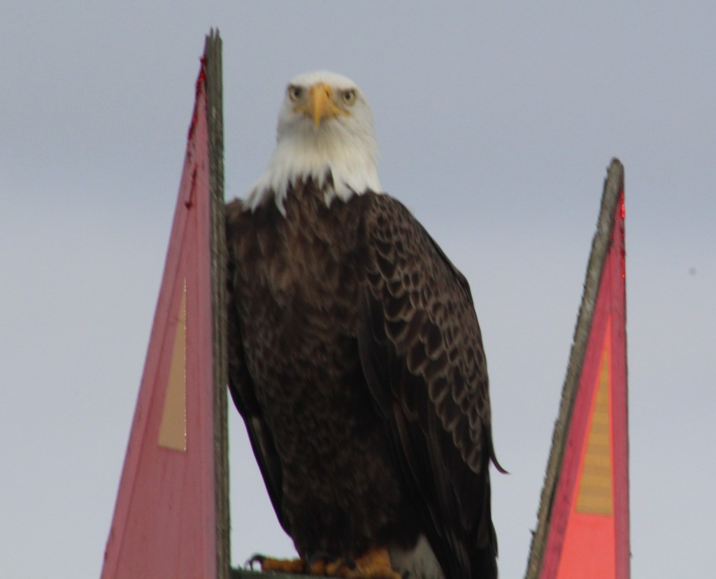 Crew getting the Eagle Eye