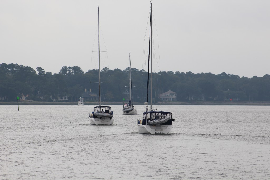 Following the herd south