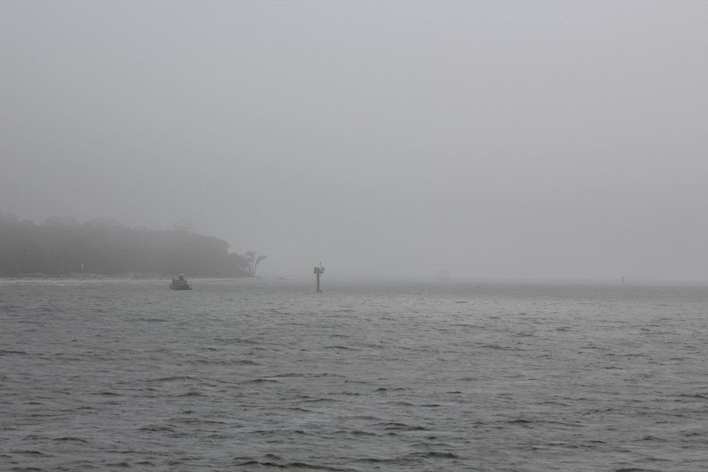 Foggy, Foggy Morning