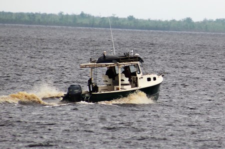 IMG_0003, Aligator River