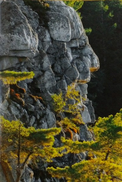 WIN_20160821_11_34_14_Pro