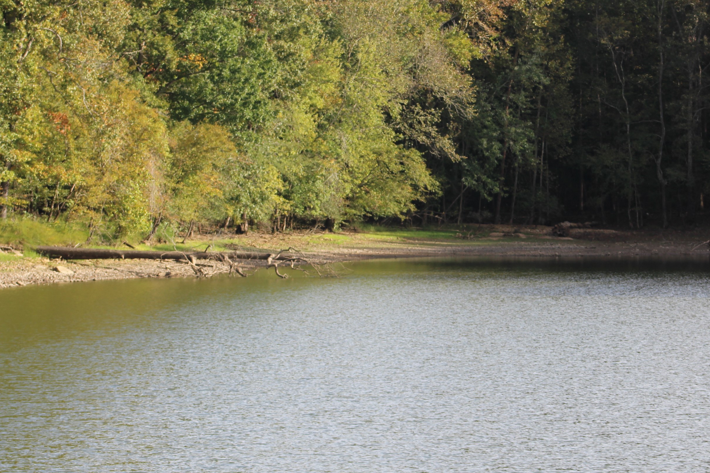 110-mile-73-dry-creek-anchorage