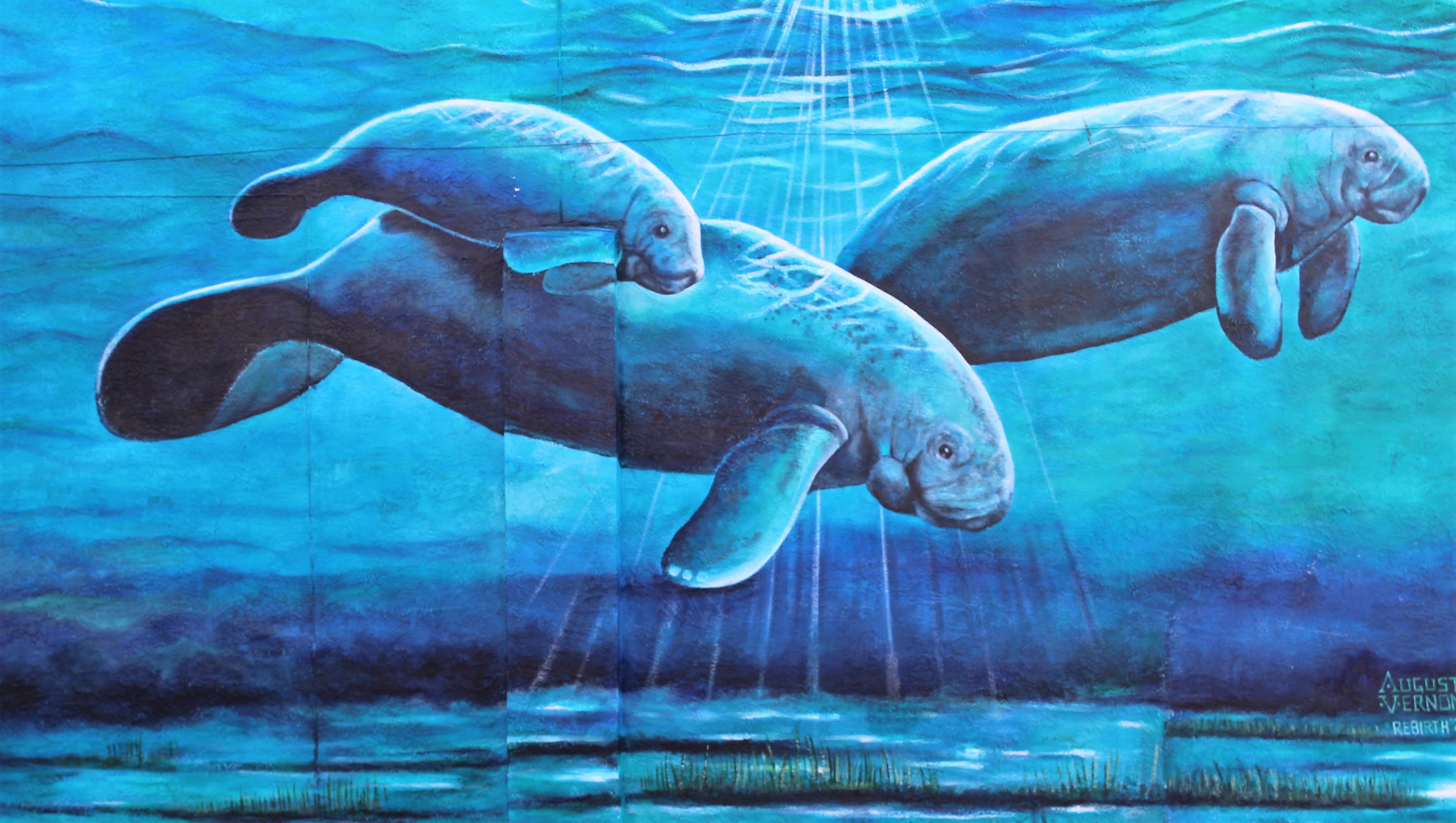 11-mural-on-beach-st