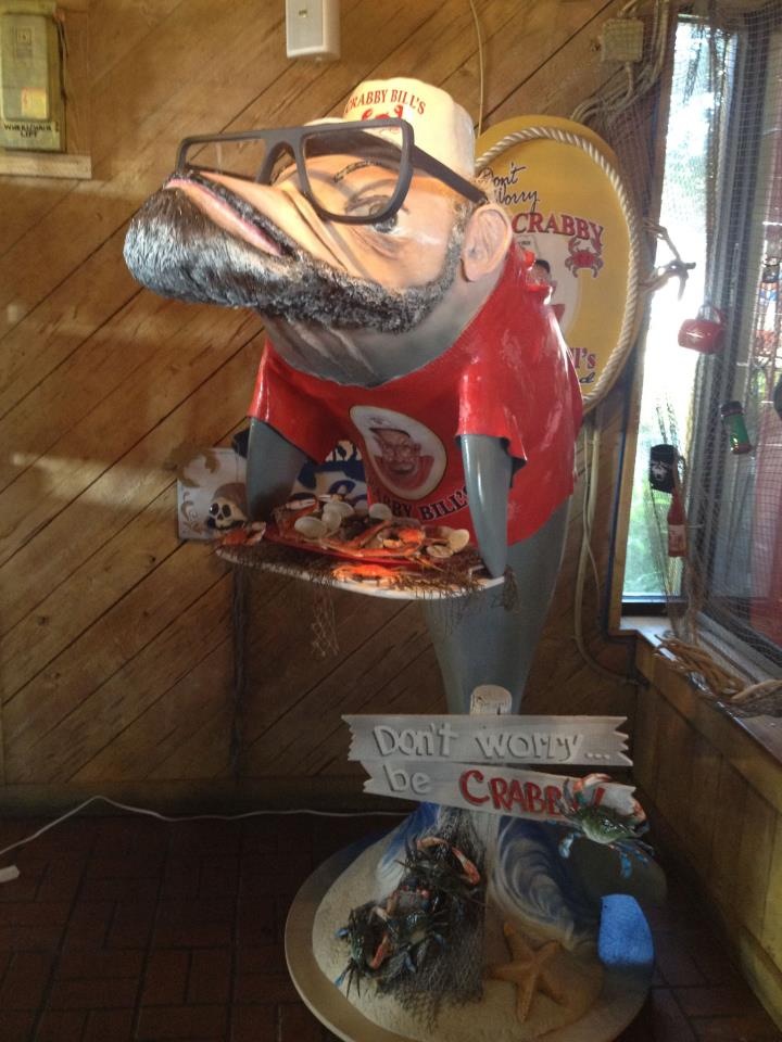 17-dolphin-trail-crabbybills