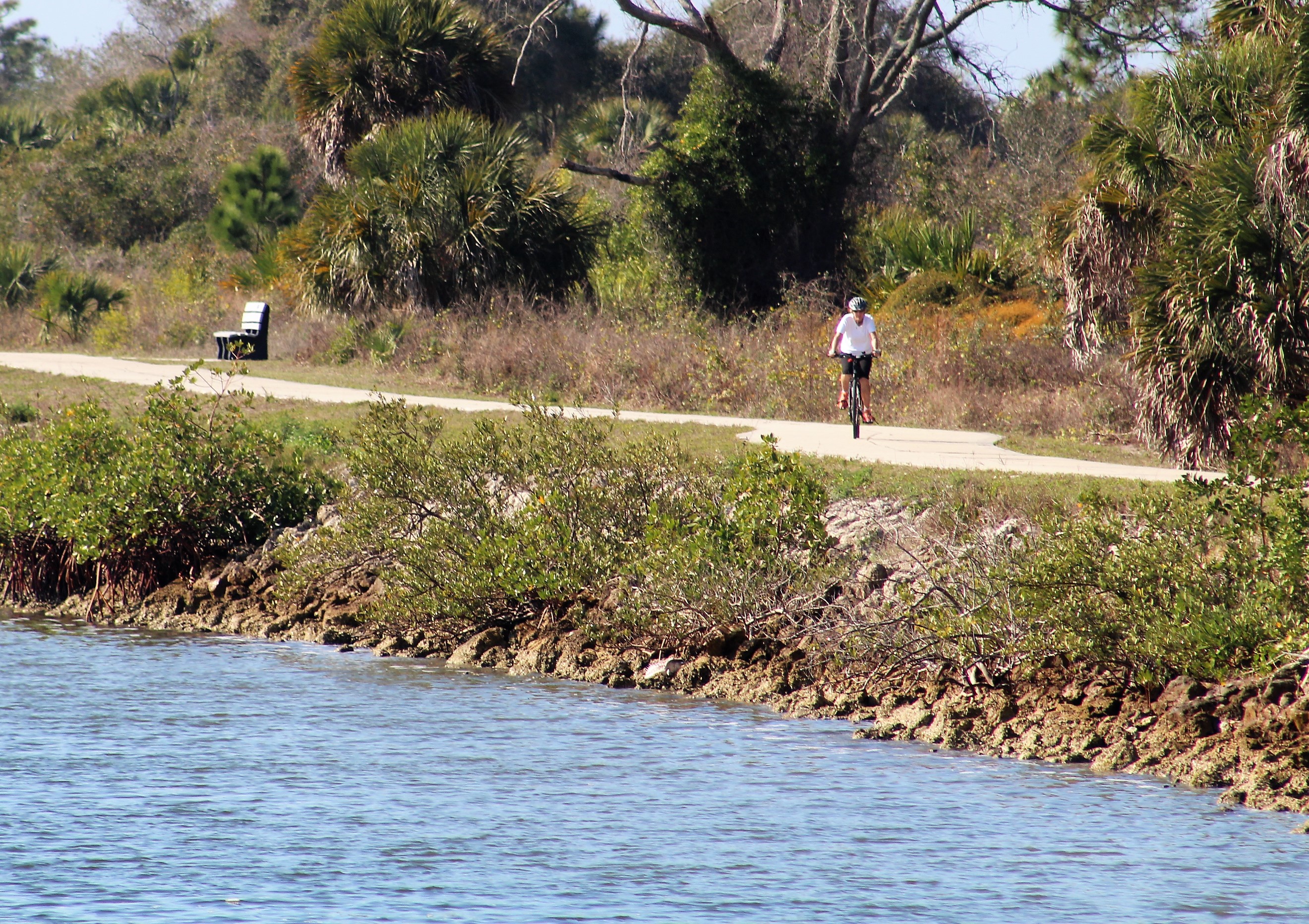 venice-bike-trail