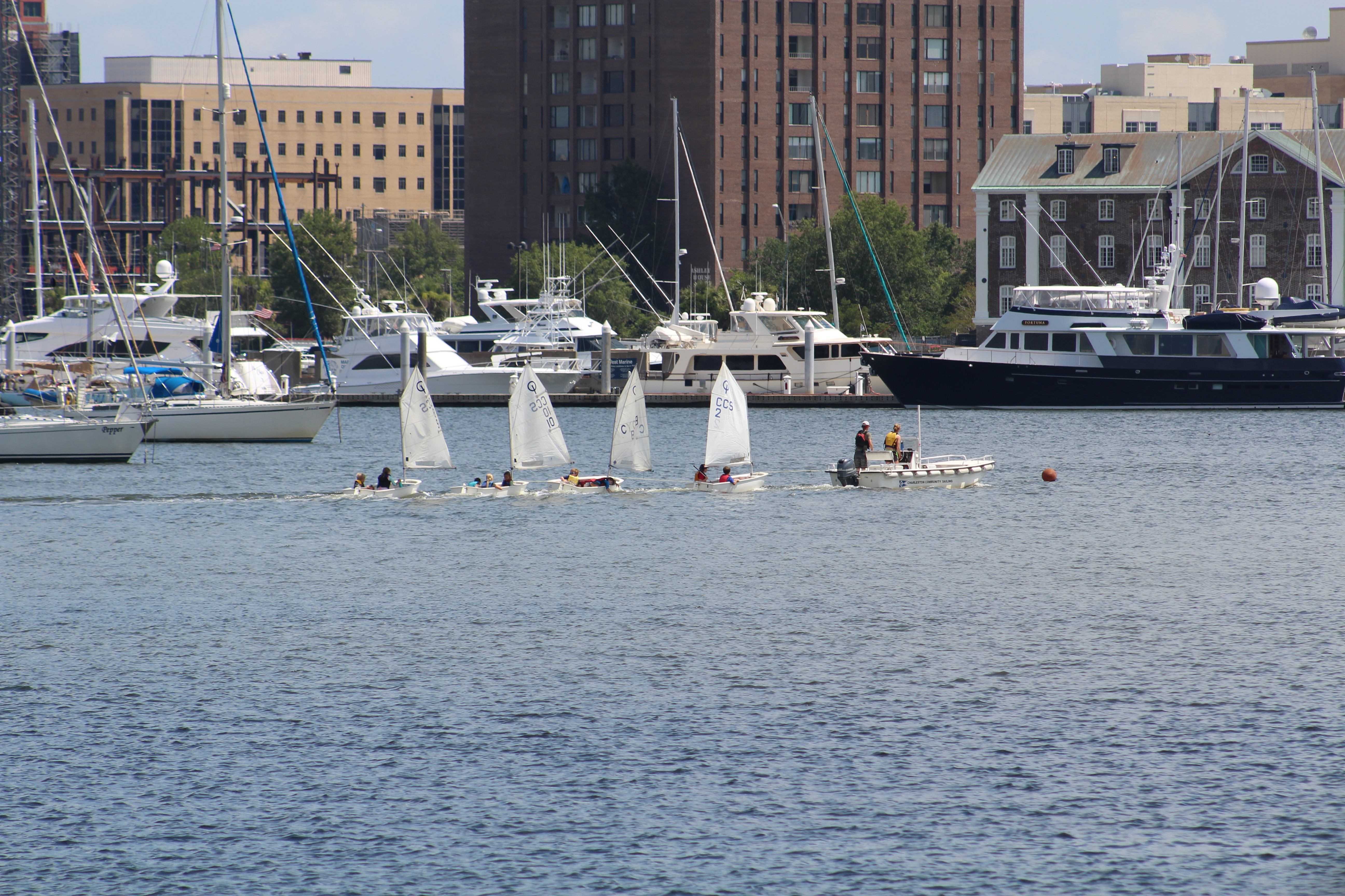 31 learning to sail in Charleston