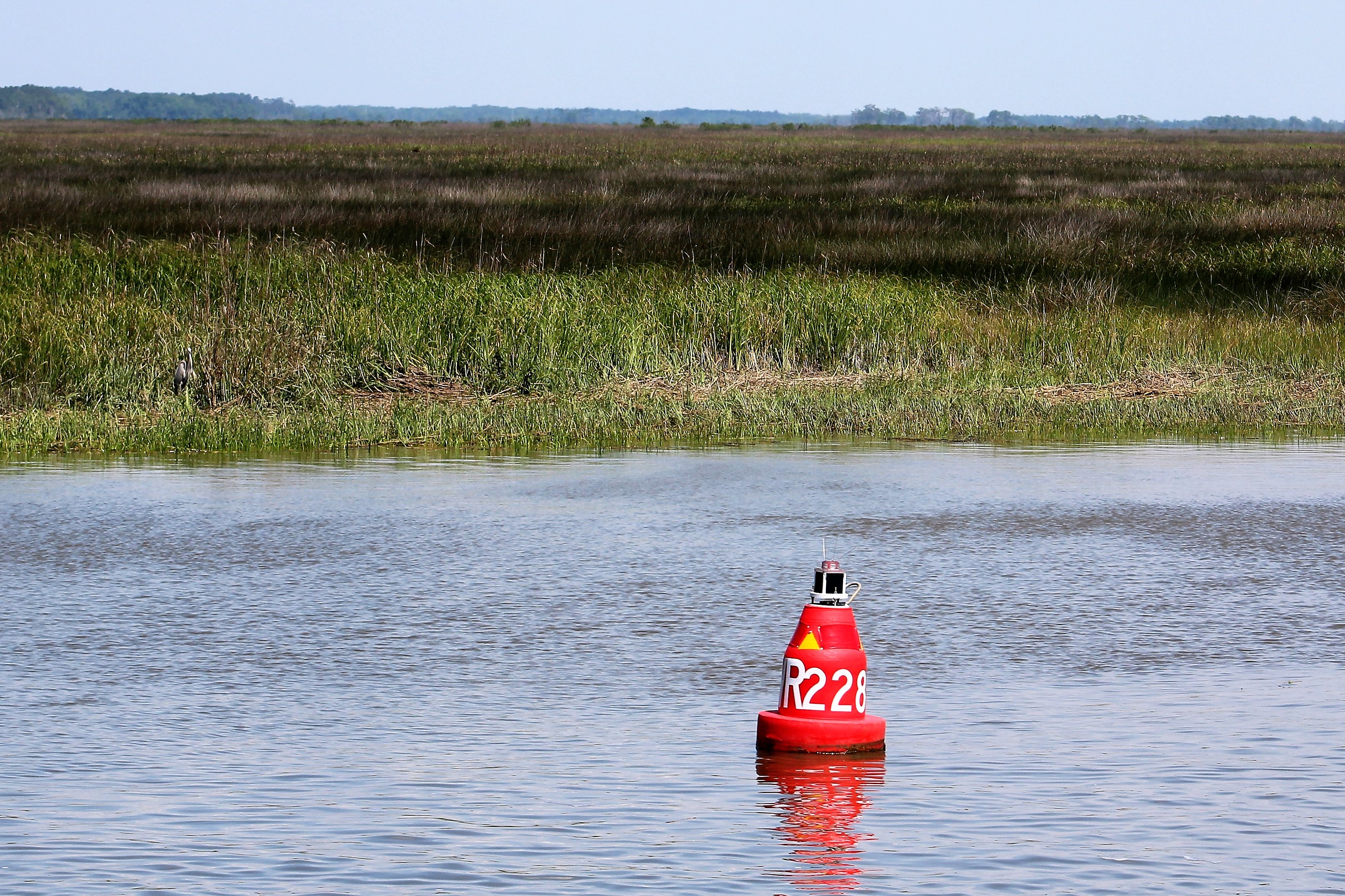 71 STM 665 Mackay River, GA