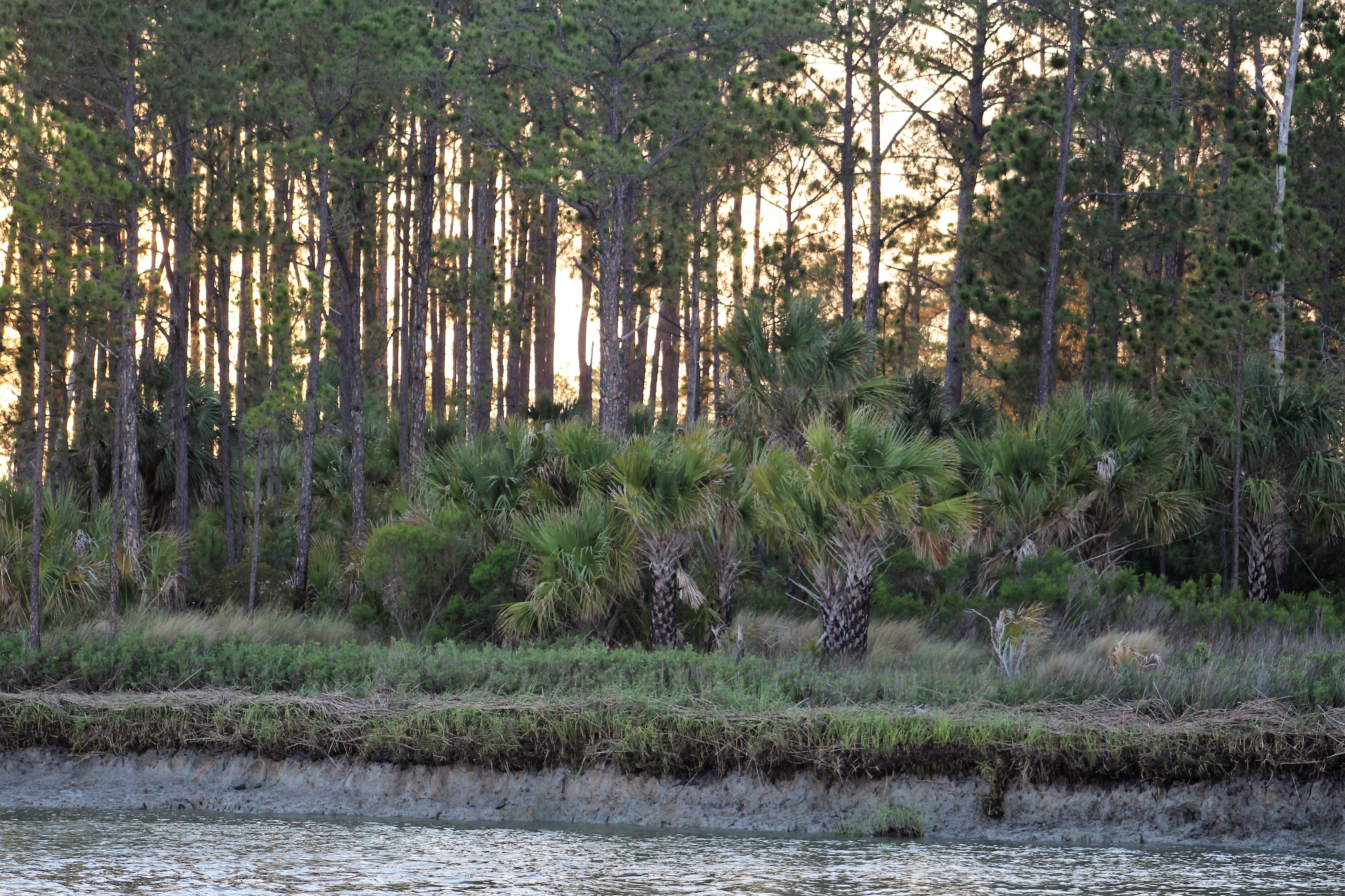 80 STM 630 Anchored in Wahoo River