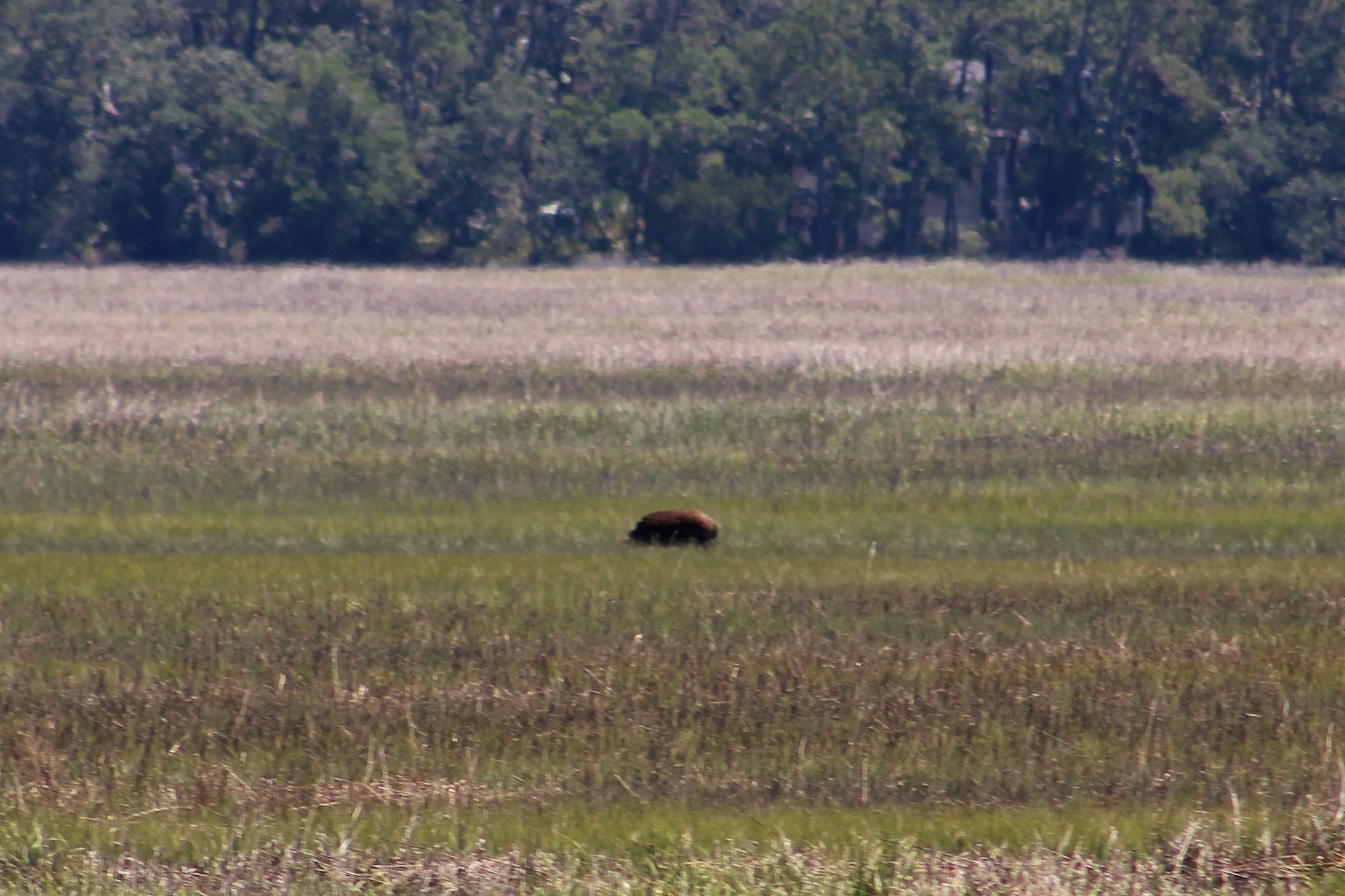 86 STM 600 Green Island