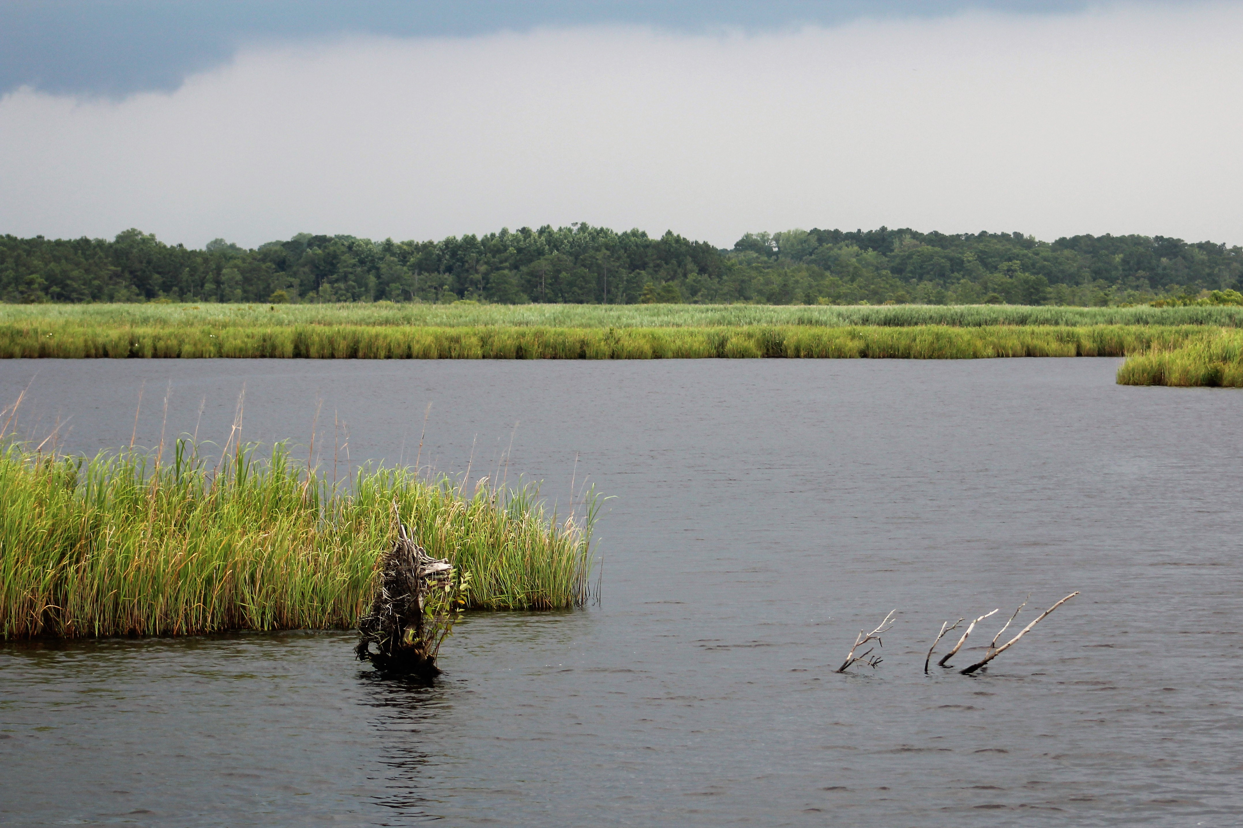 2 stm 30, Anchored in Blackwater Creek