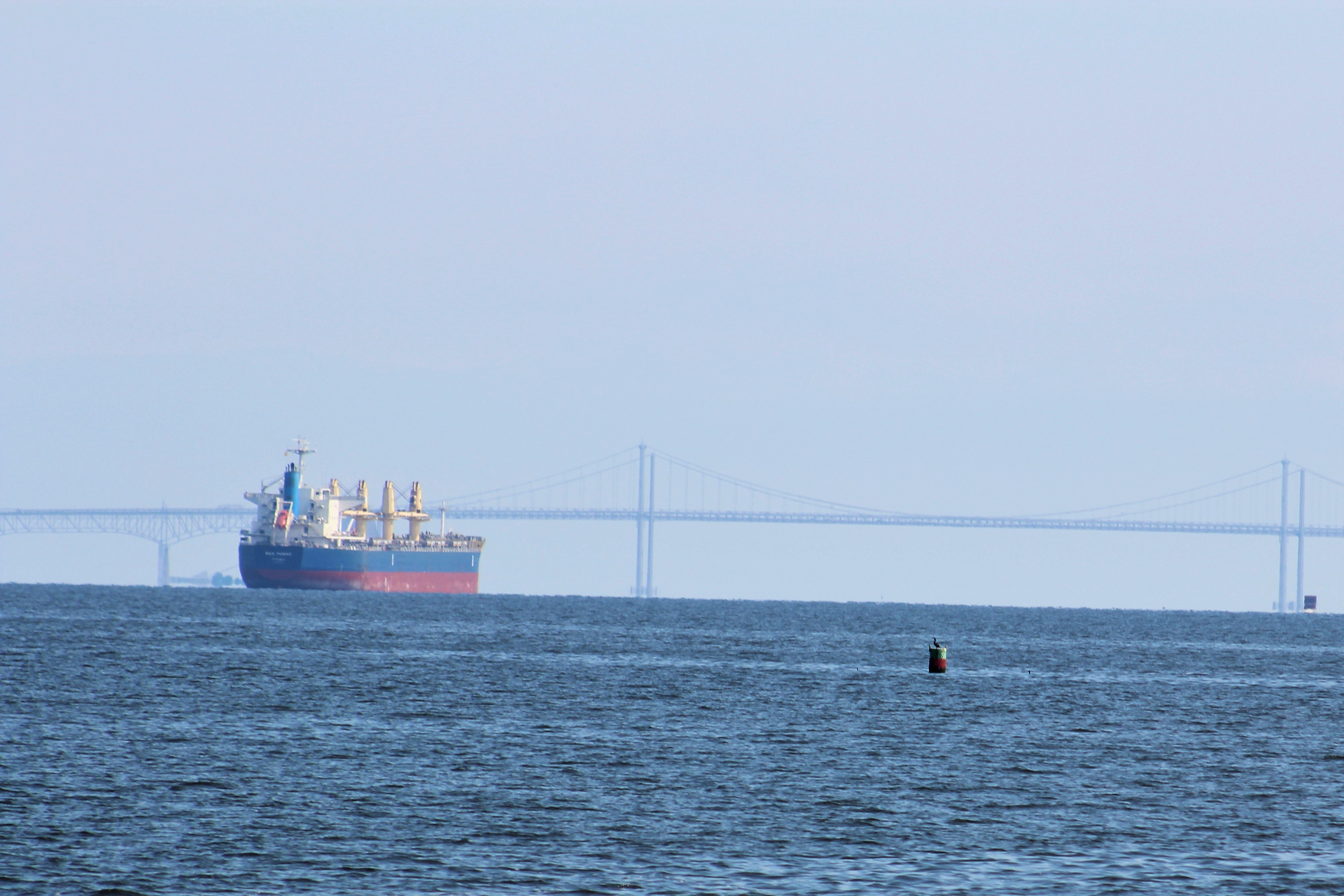 46 five miles out from Bay Bridge