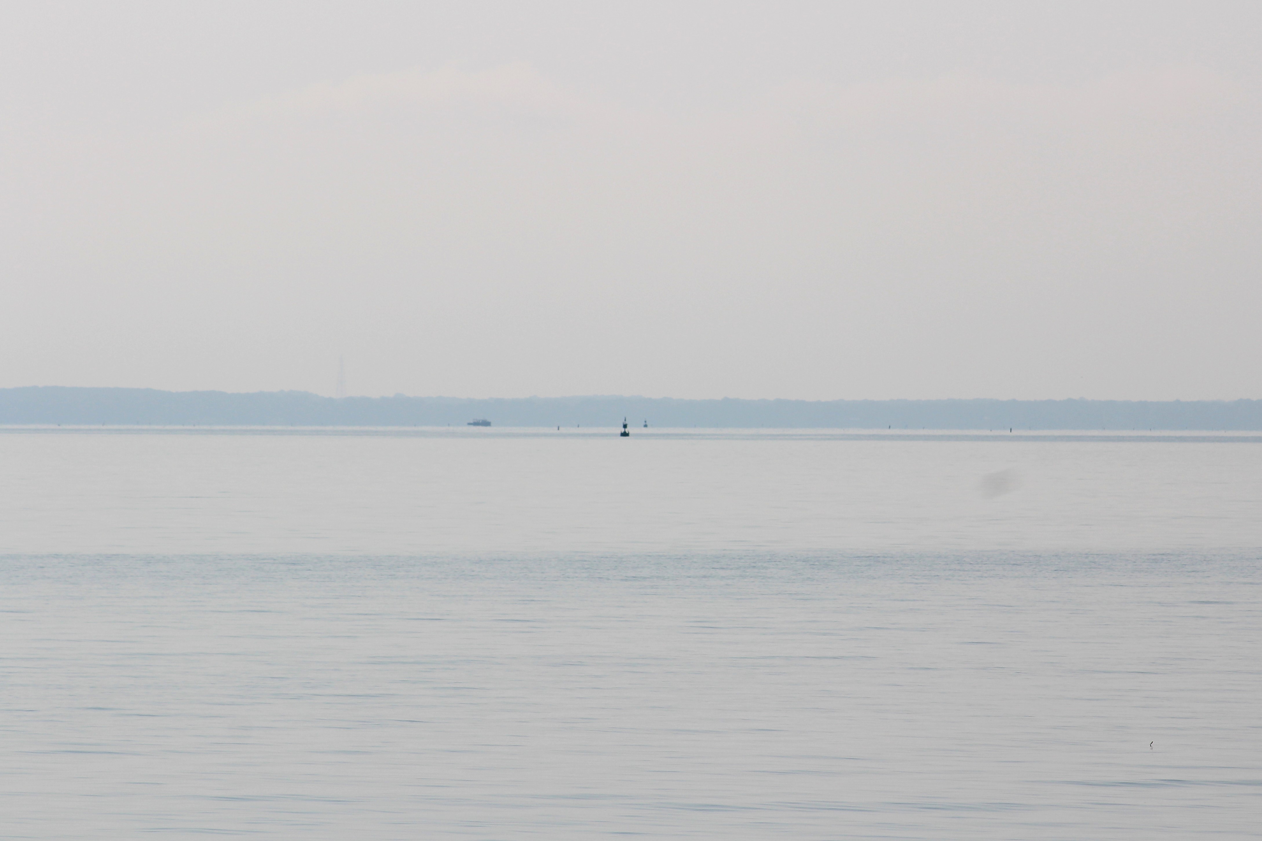 52 Looking out from Middle River