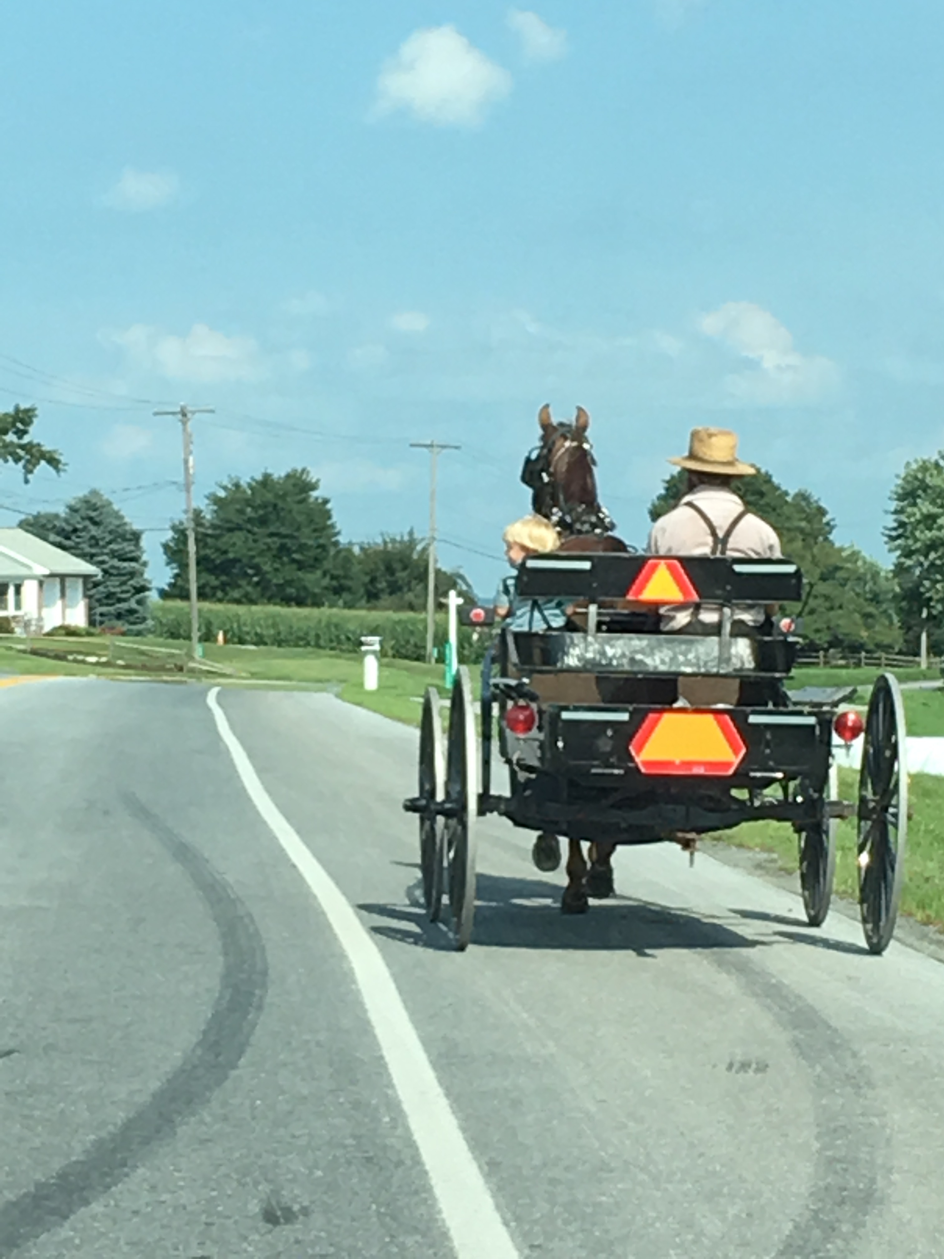 Amish 2