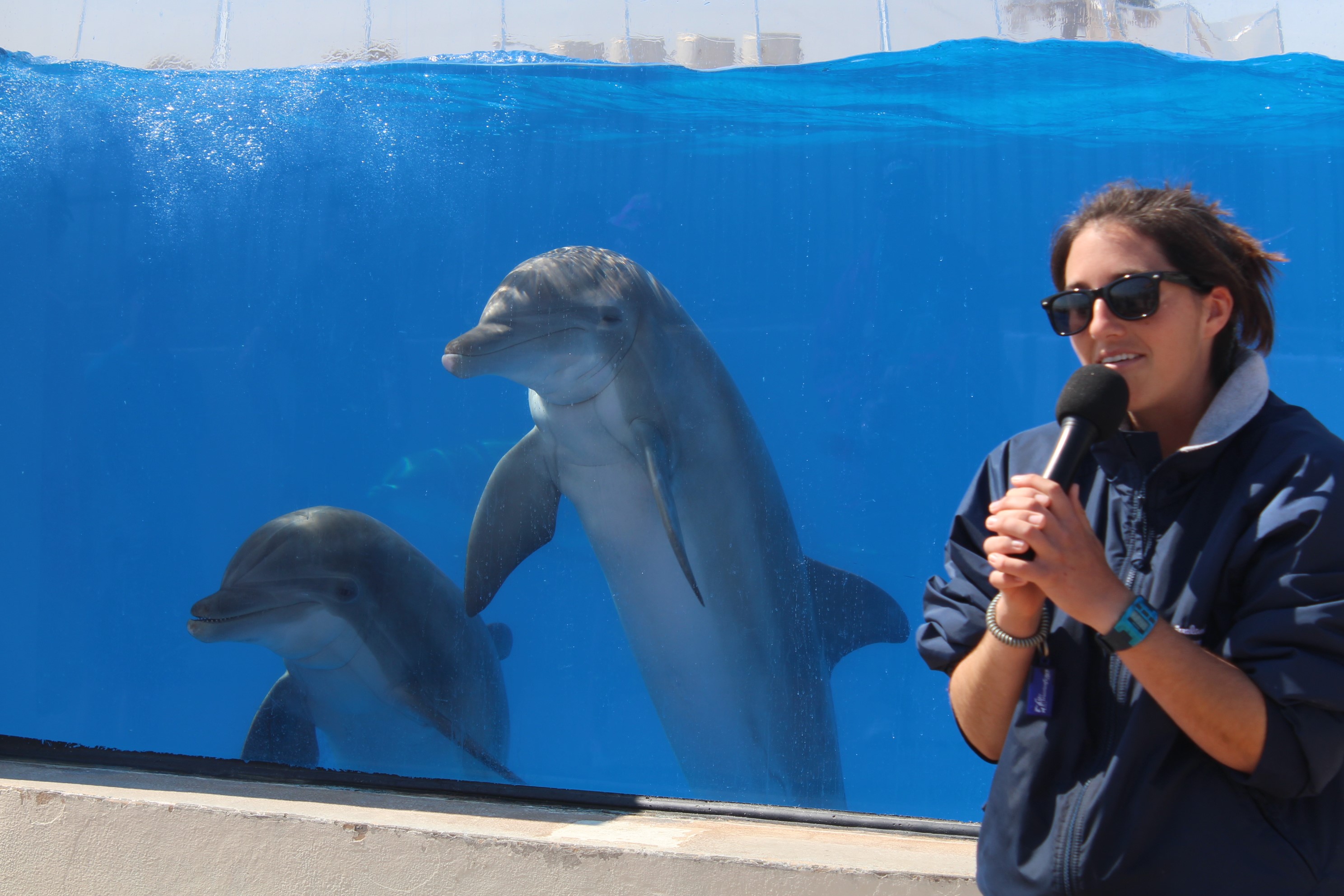 3EAFECC2-AA52-4B79-9BF7-5A3BD80641A8