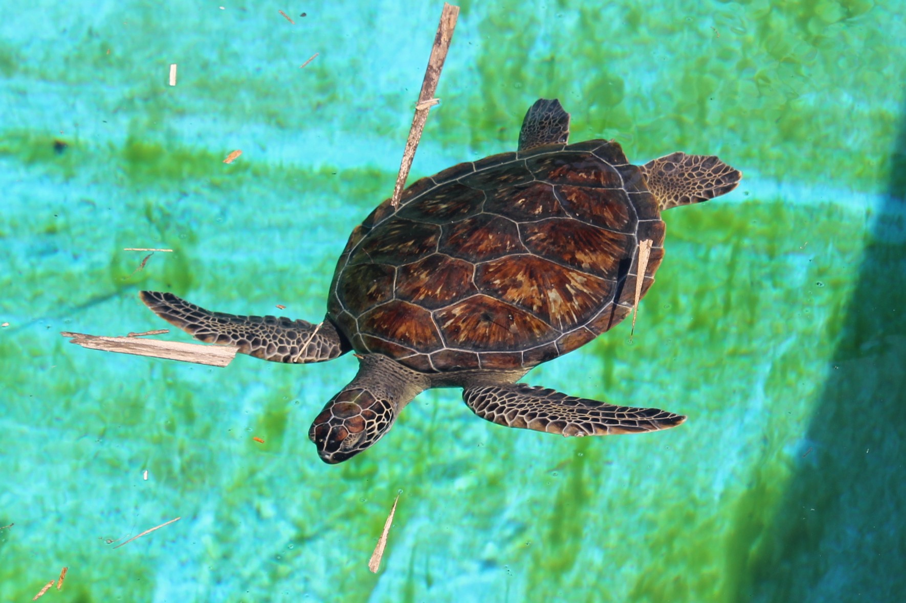 43A29C1F-D5F1-42E1-876B-9ADD8F1C07DE