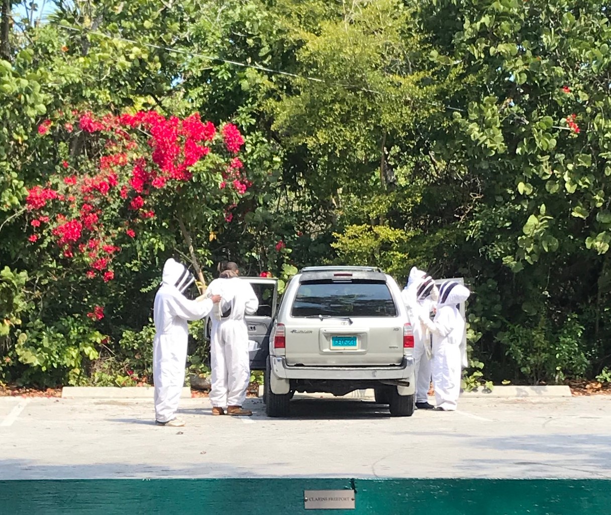 F5AC05C0-A150-4BFF-8CD2-805293B45F9A