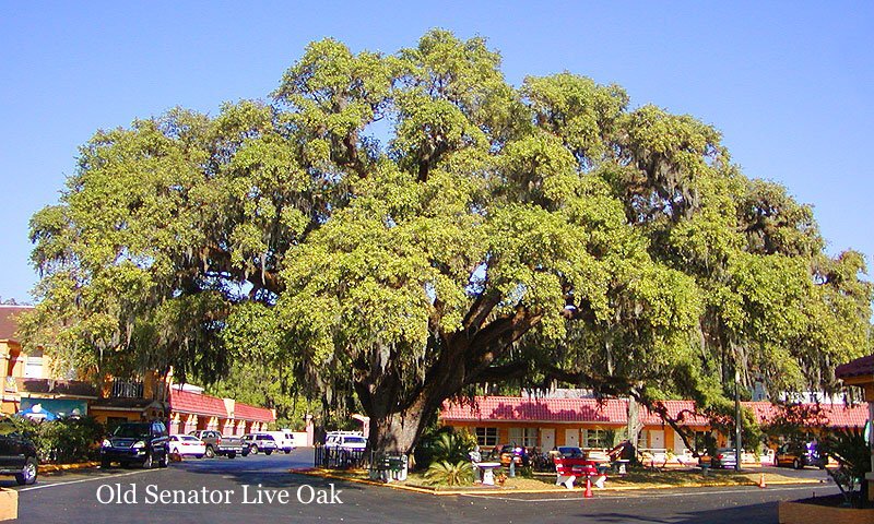 0011915A-8743-42A6-89A9-4DF42794003E