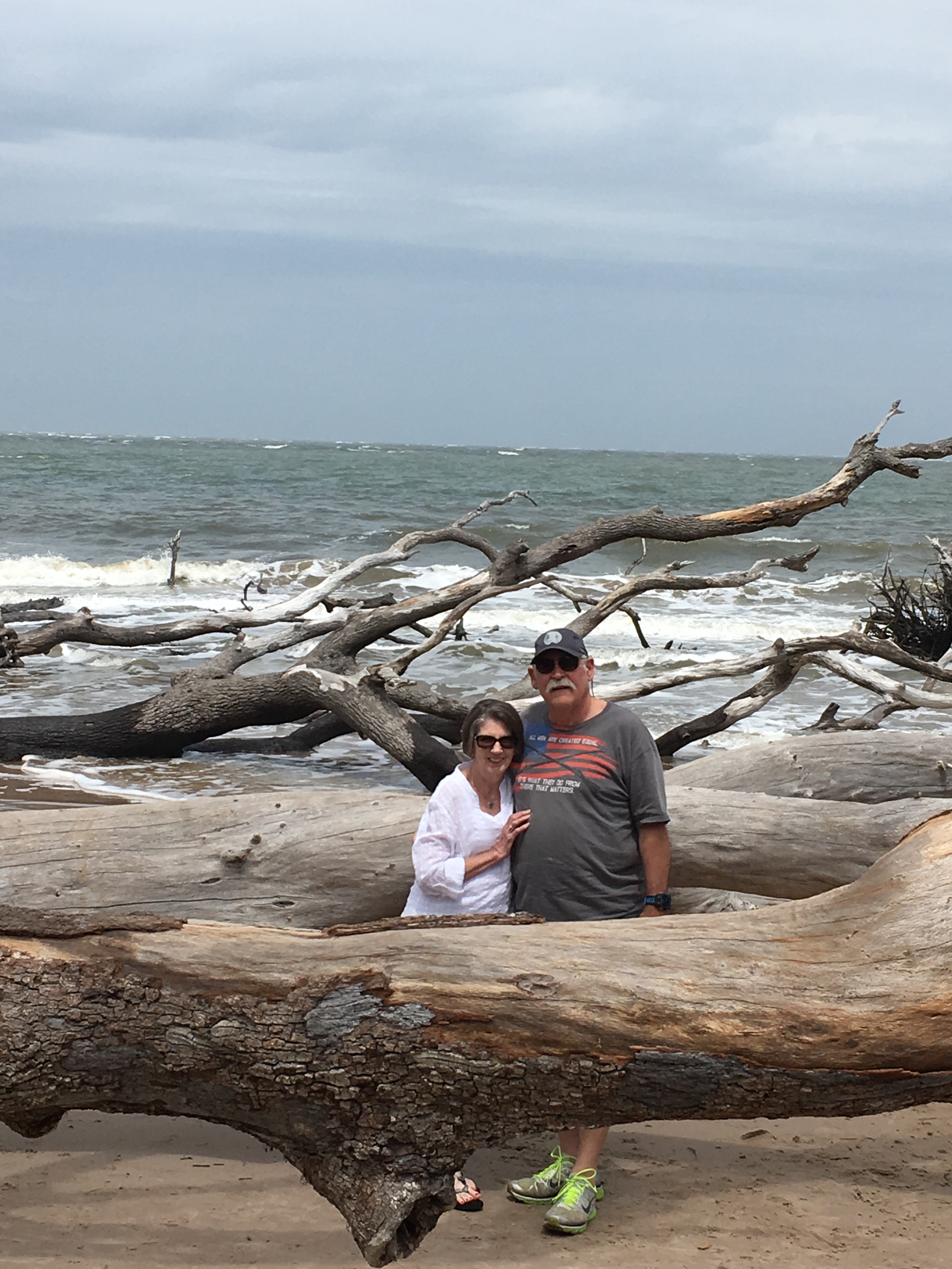 Drift wood beach