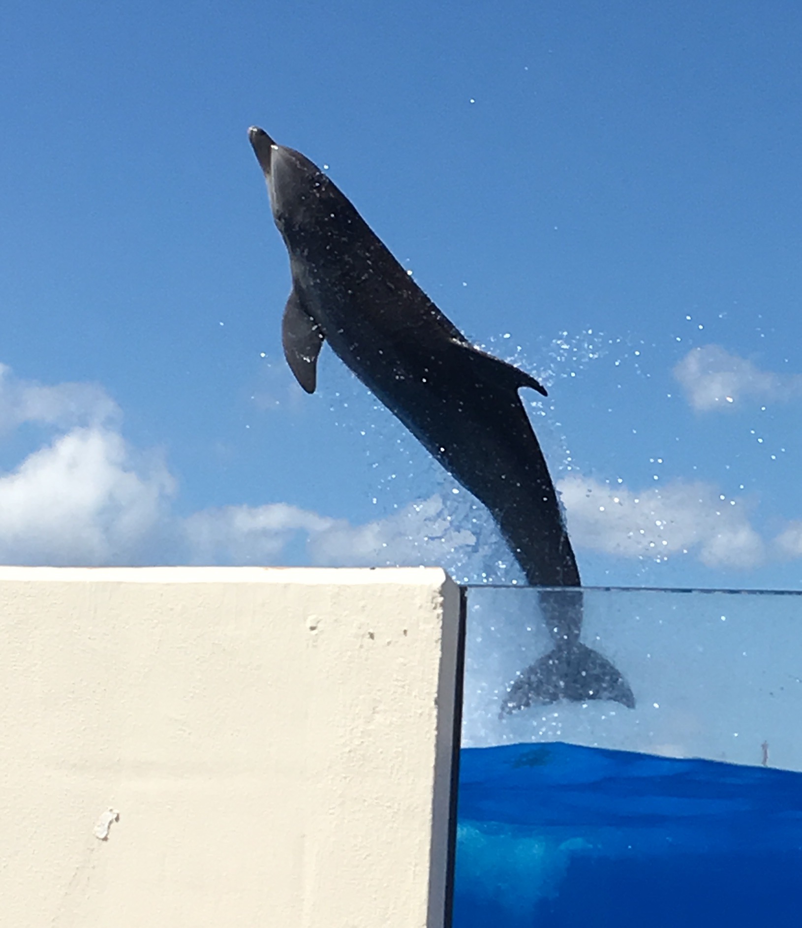 EB9AD20D-11C6-4F16-98B6-FAA284F8F925