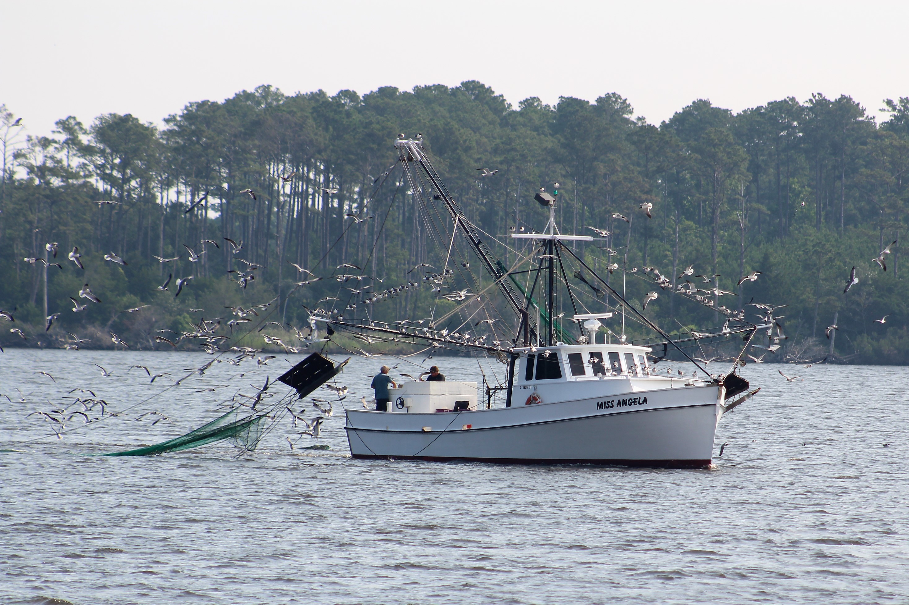 27 Shrimp Boat and Birds