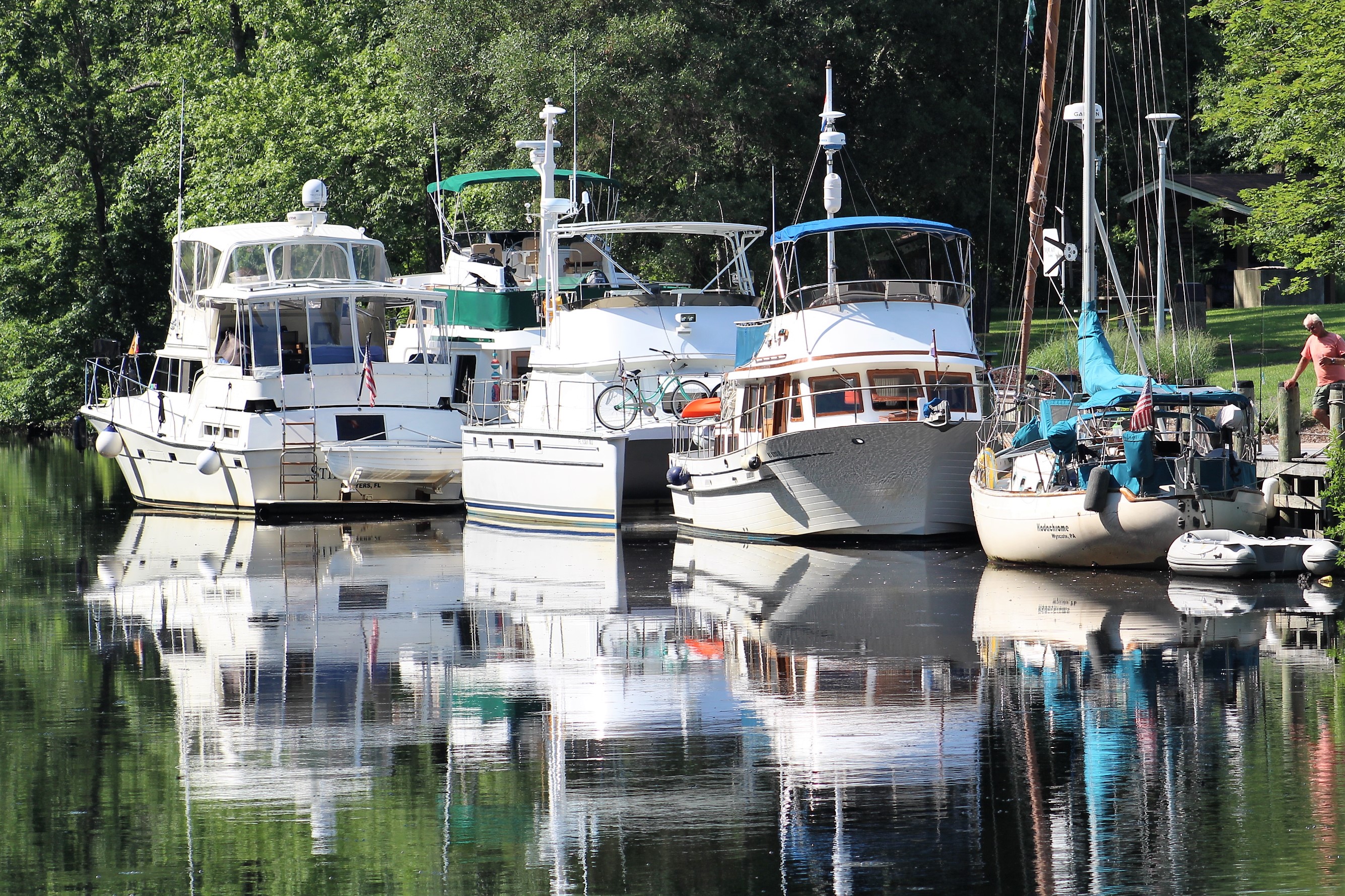 52 Dismal Swamp Free Dock.JPG