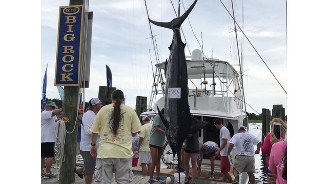 bigrock500_1528833939855.jpg_45257709_ver1.0_640_360[1]