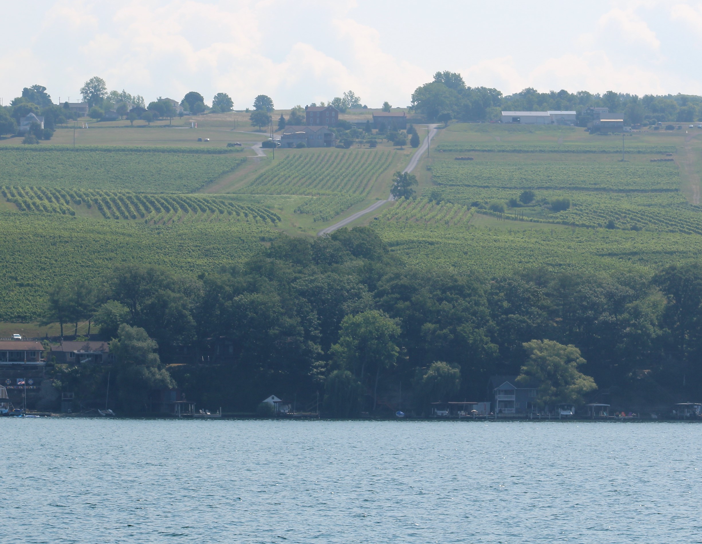 45 Bloomer Creek Vineyard- East Shore