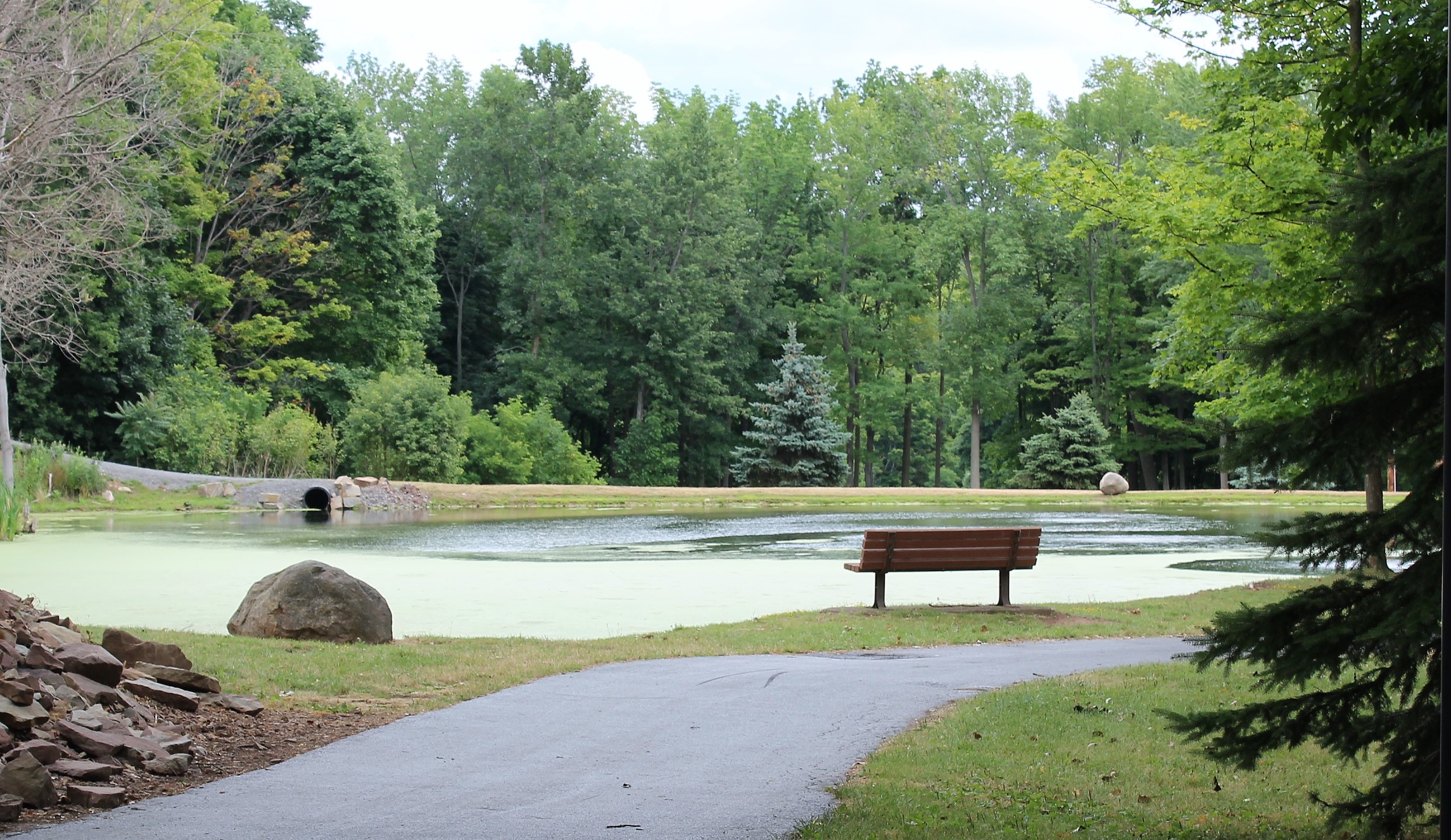 94 Hike to Waterfall Holley