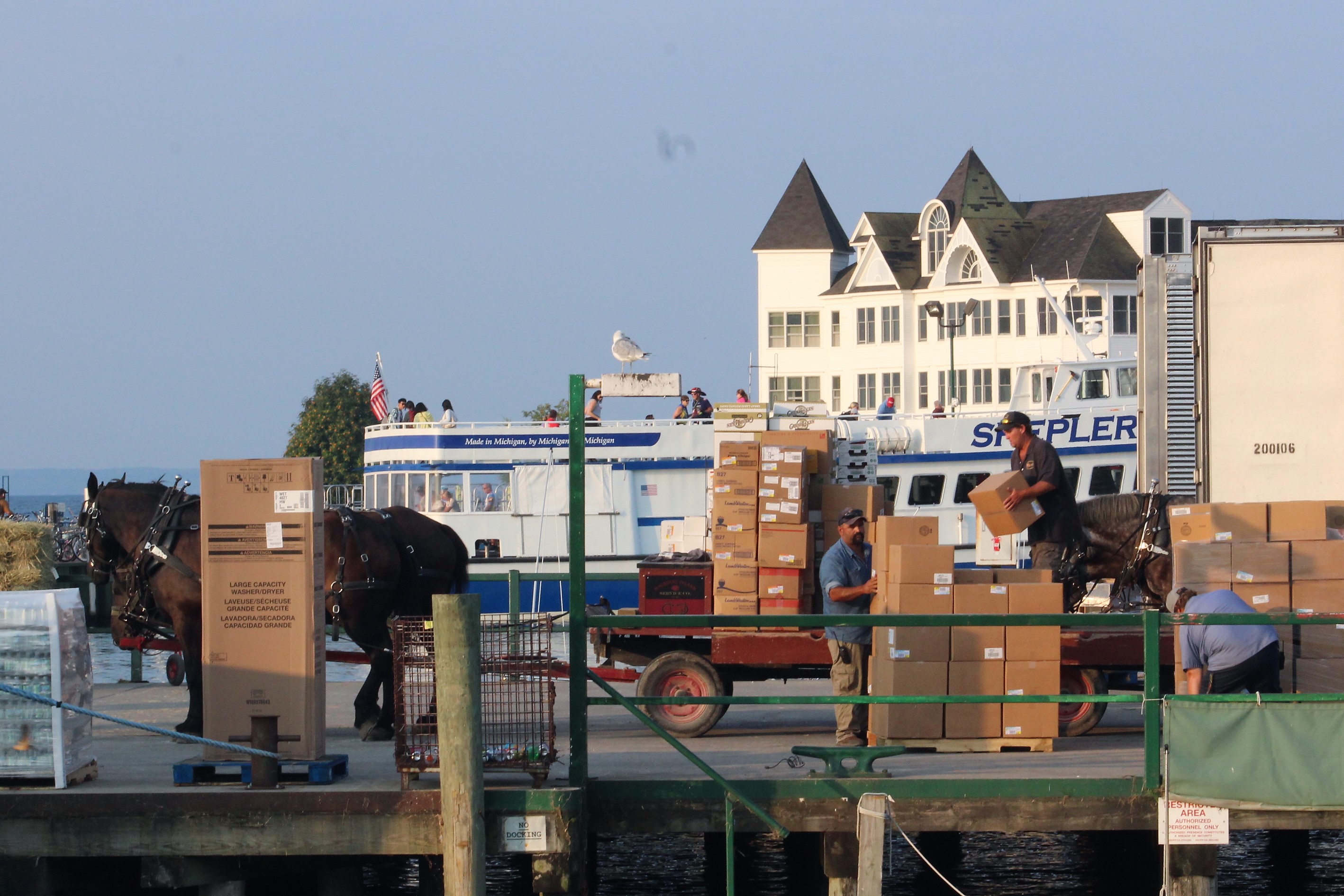 20 Morning Deliveries