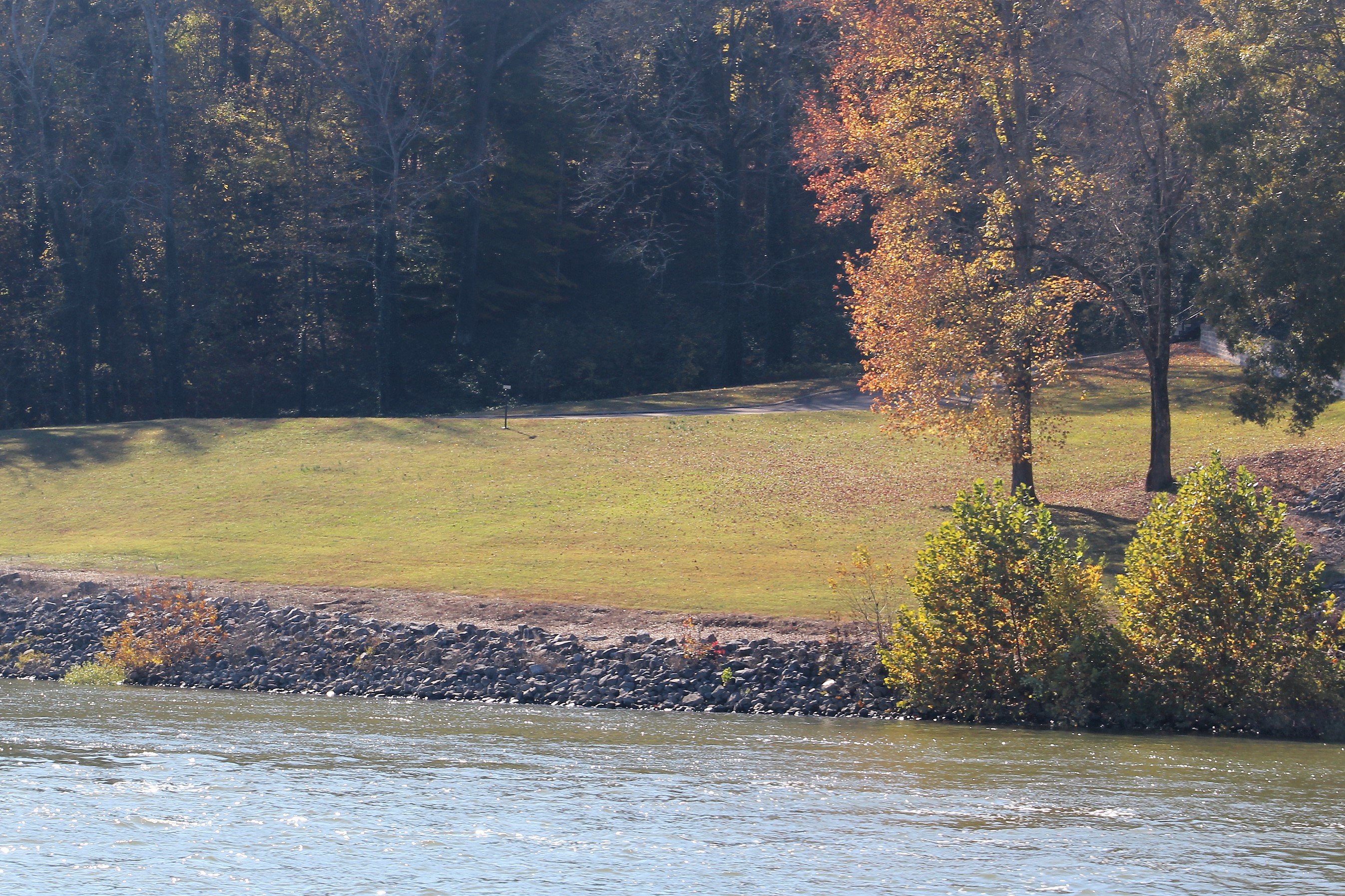 31 Pittsburgh Landing