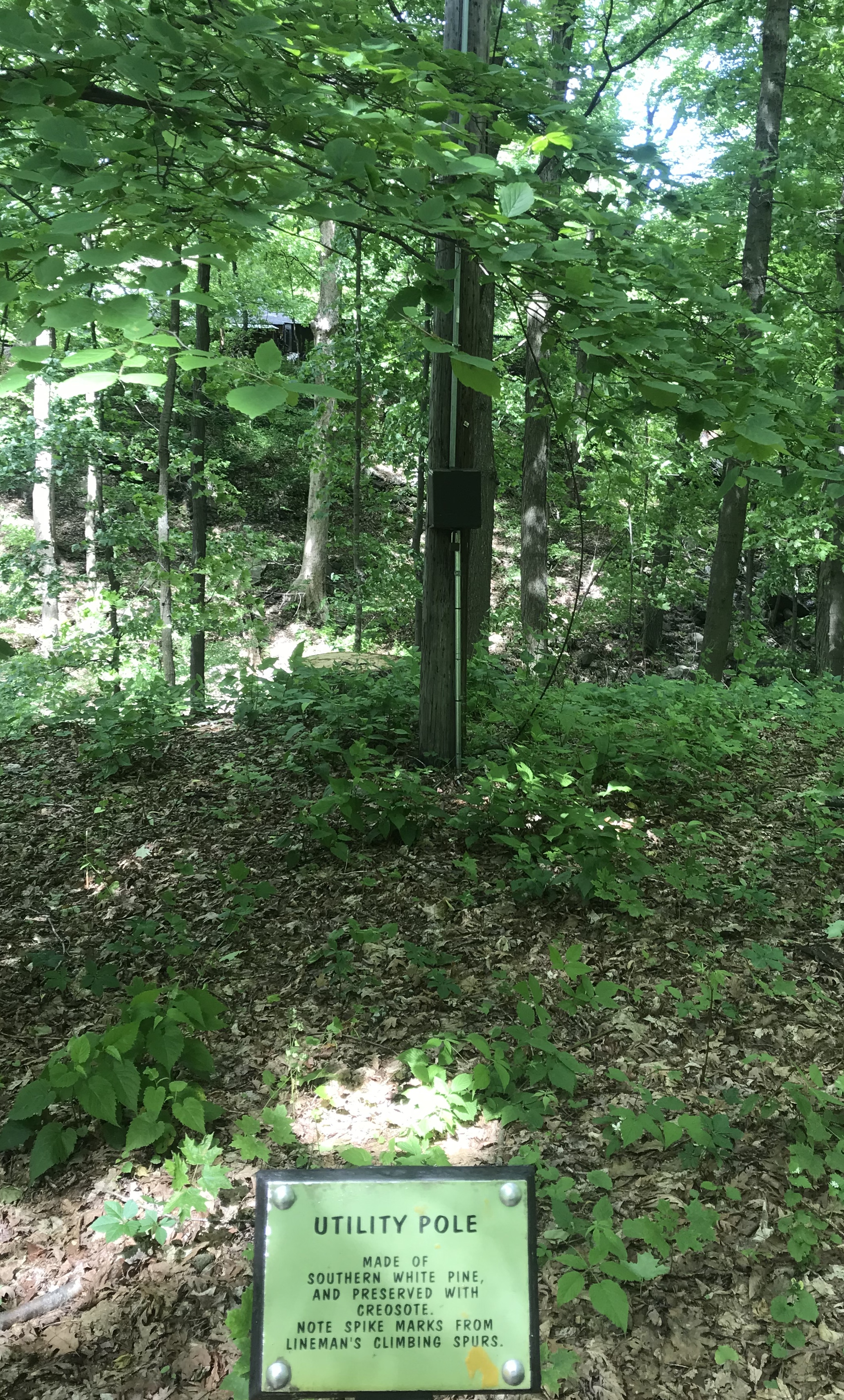 1F72C561-22CB-4C91-BC04-E5831D911EA6