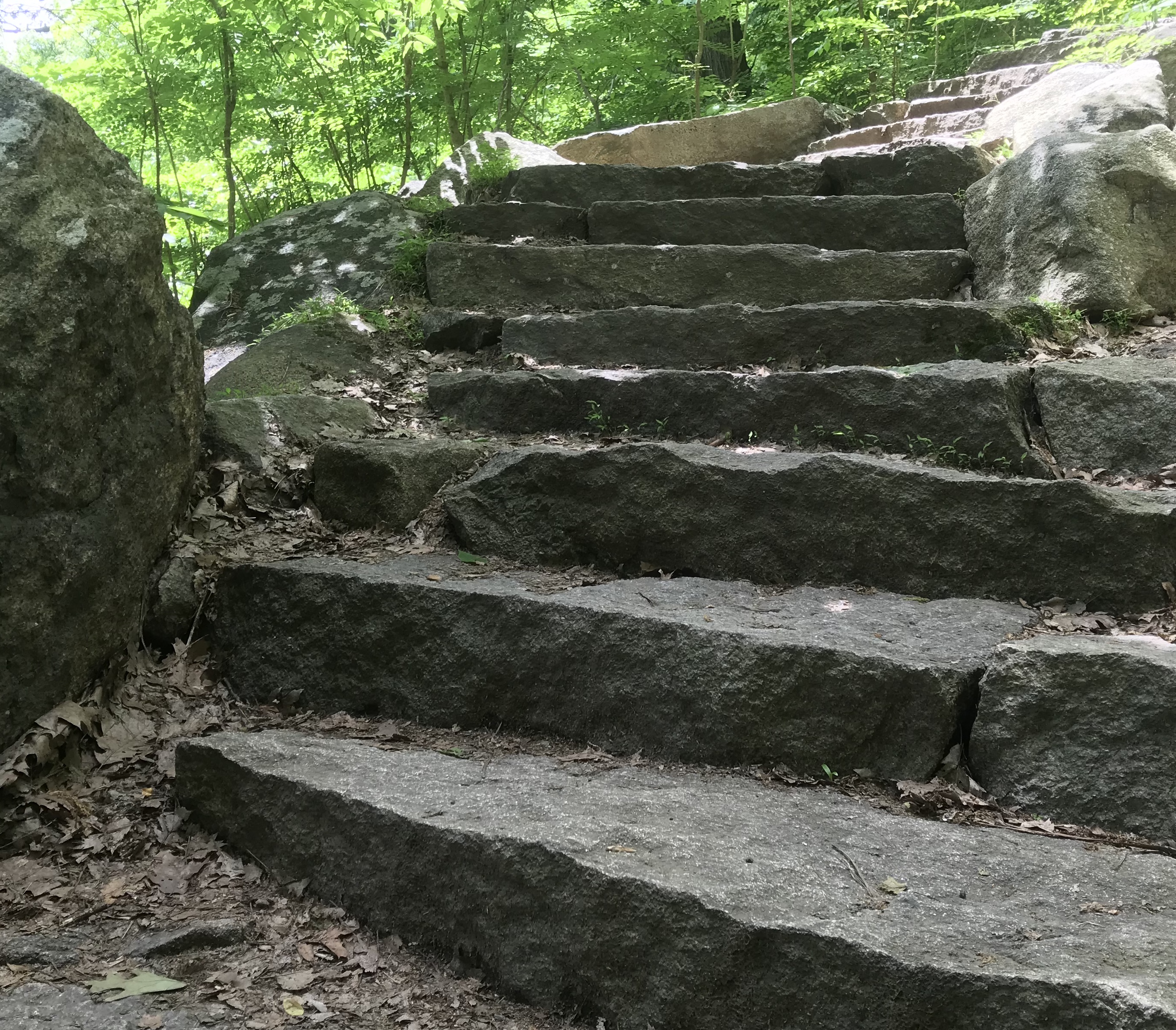 2AB90749-99E1-480A-8A1F-69E43F67BF31