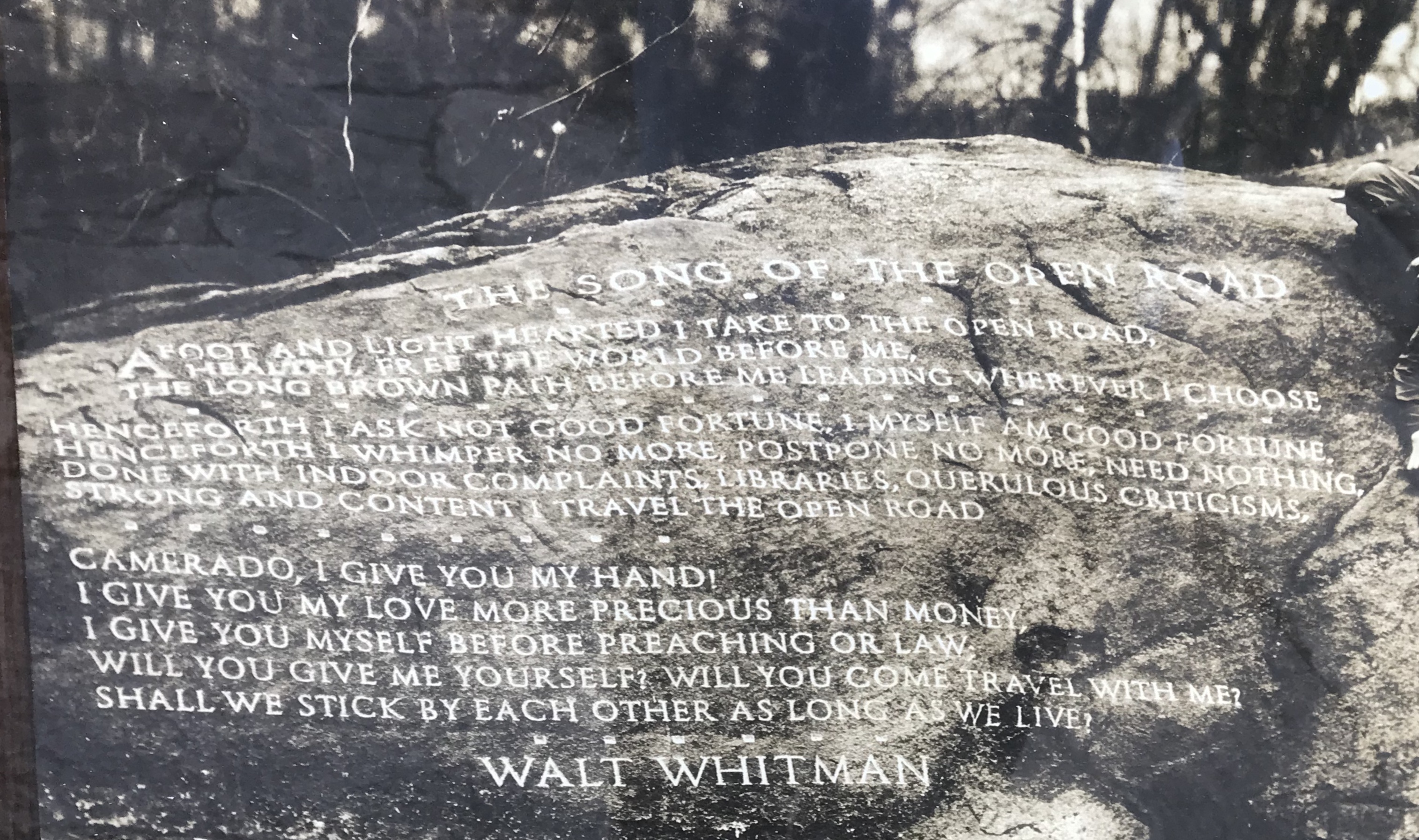 427059A6-38CA-4A55-85AC-741CBBA2952B